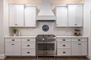 Blogs 2 How to choose Kitchen Cabinets